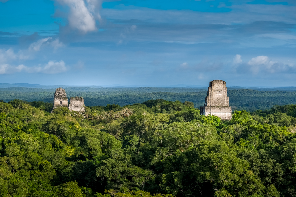 Temples peeking out above the forest in Tikal