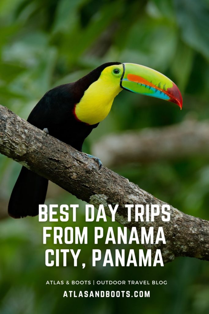 best day trips from Panama City Pinterest pin