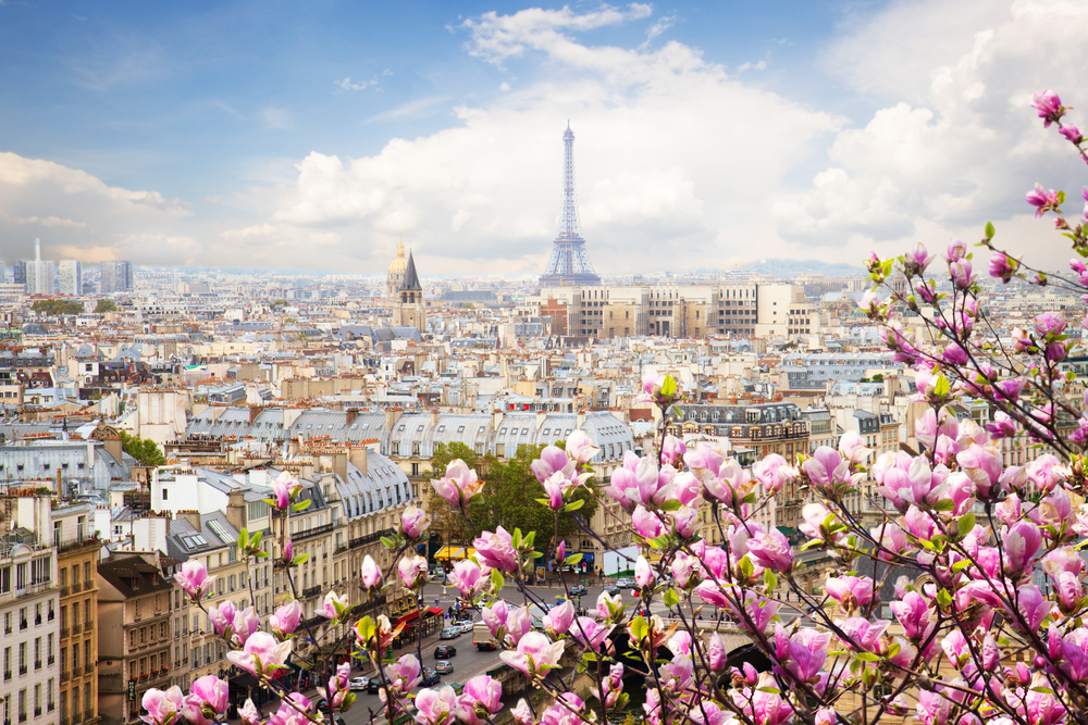 A view of the Eiffel Tower from across the rooftops of Paris