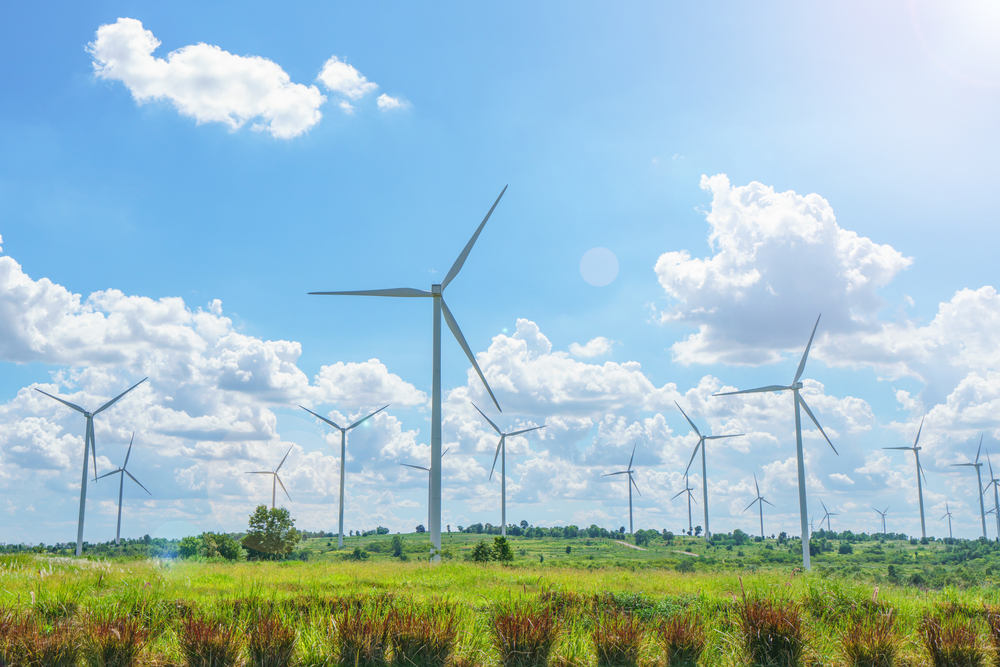 Wind turbines above a green field