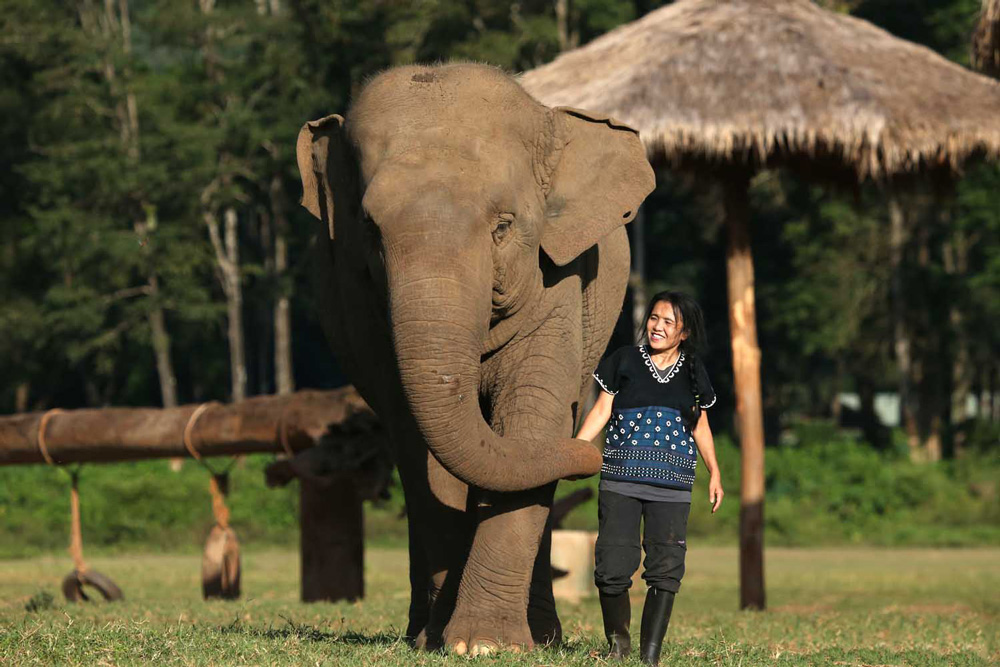 Lek Chailert dengan seekor gajah di turis terakhir