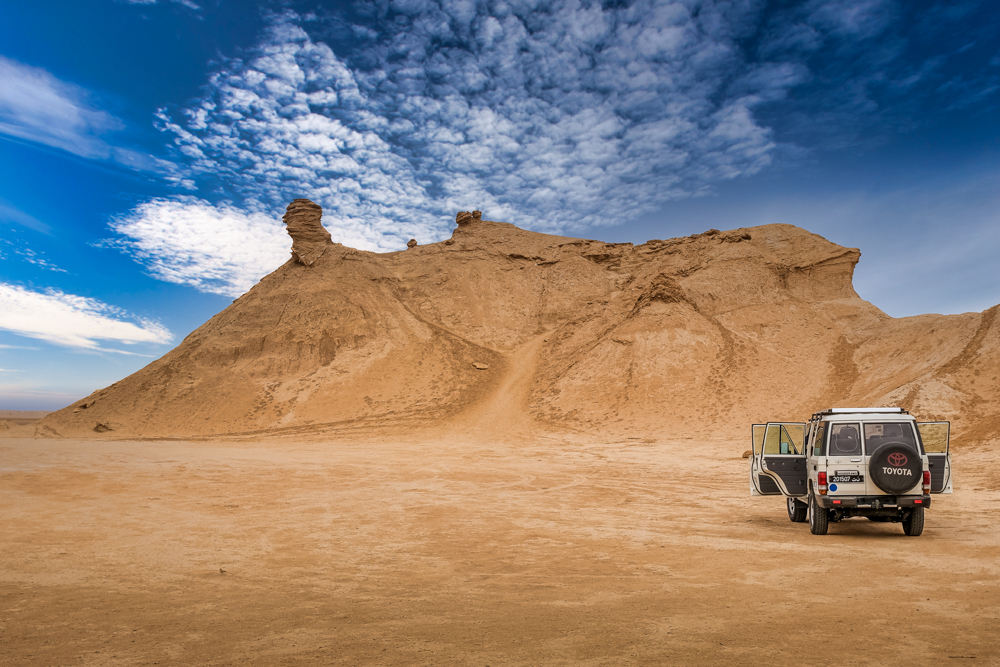 Looking up at the camel's neck