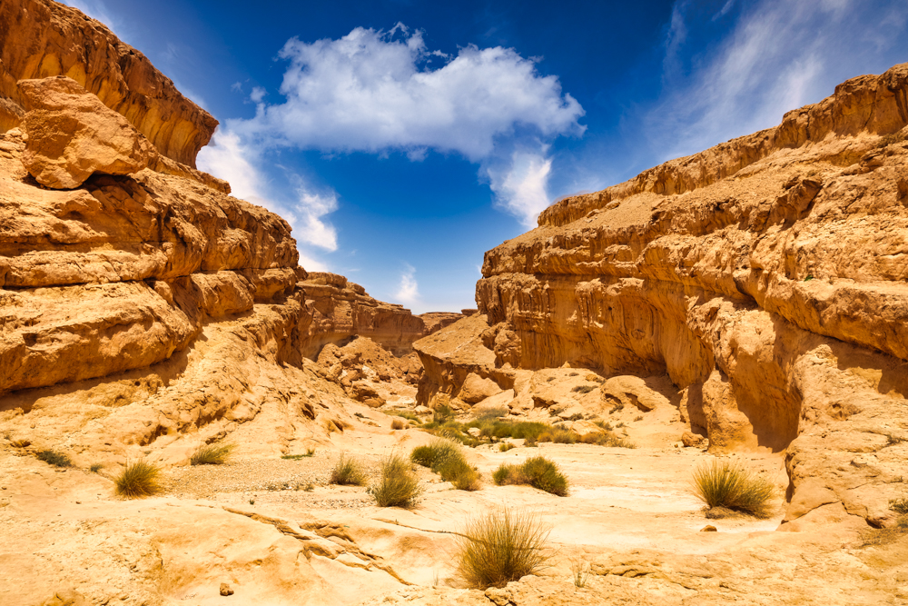 Melihat ke seberang Sidi Bouhlel AKA Star Wars Canyon