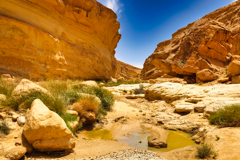 Looking along Sidi Bouhlel AKA Star Wars Canyon