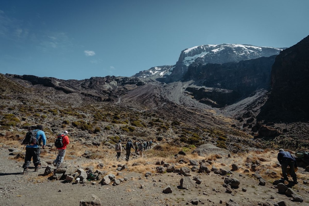 Trekkers on the Umbwe climbing route on Kilimanjaro