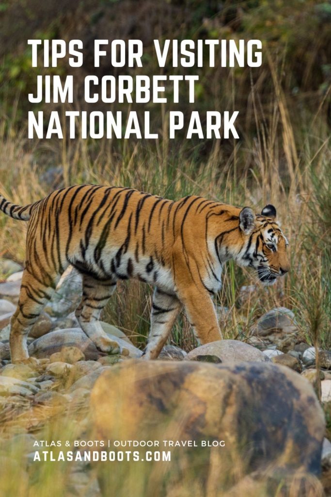 Tips for visiting Jim Corbett National Park Pinterest pin