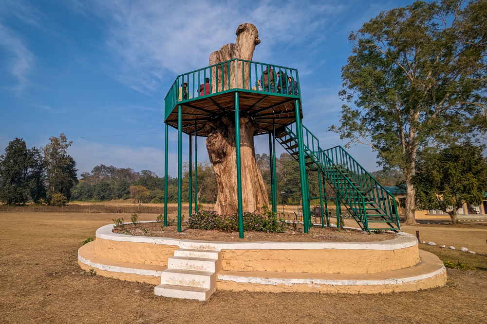 A lookout in the park