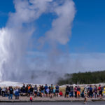 crowds at Yellowstone national park watch a geyser erupt