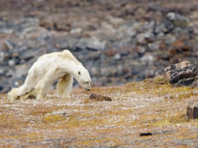 10 climate photographs that changed the way we see the world