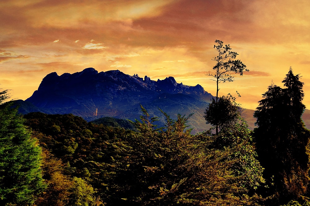 Sunrise over mt Kinabalu with forest in the foreground