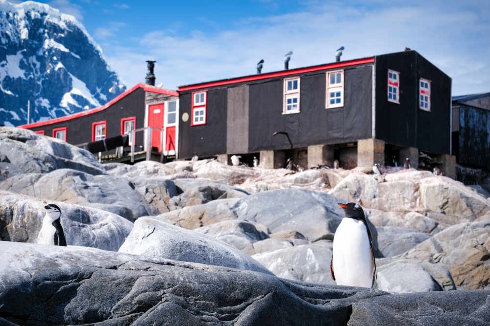 A penguin in front of a heritage building 