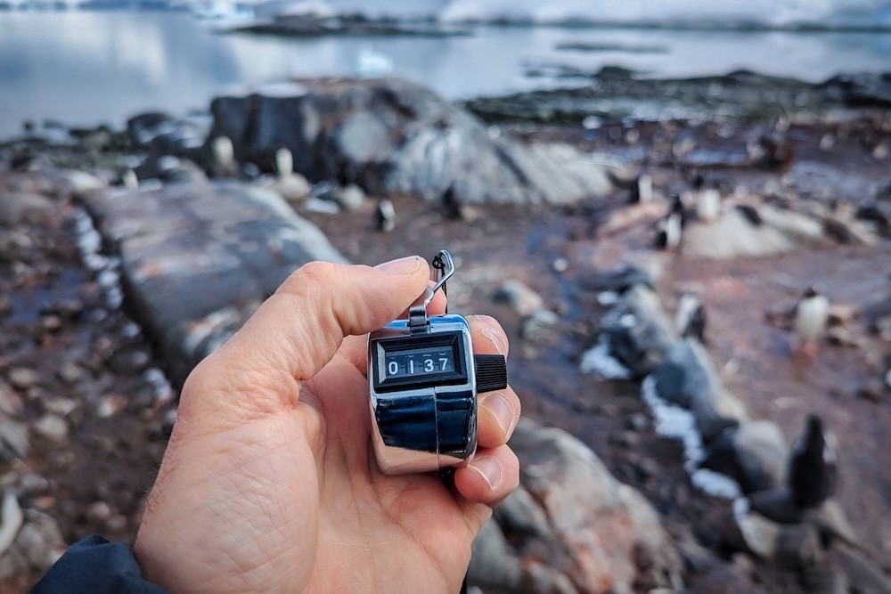 Pete holding a clicker with penguins behind s he works as a wildlife monitor in Antarctica 
