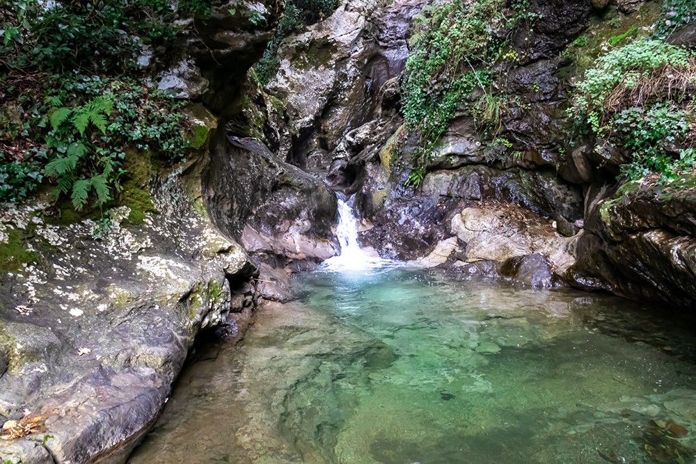 A natural pool